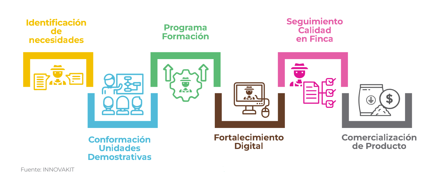 Café de excelencia: innovación que transforma
