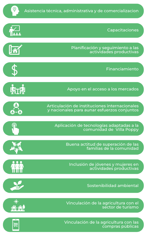 Villa Poppy: Pasos Clave hacia la Sostenibilidad y el Éxito