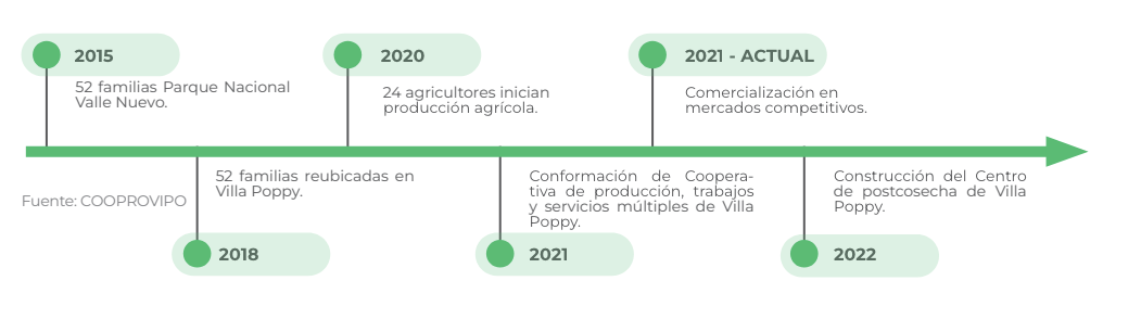 Cronología de Villa Poppy: Una Línea de Tiempo de Crecimiento Sostenible e Innovación