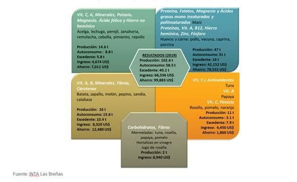 Alimentos producidos según sus principales nutrientes (2019)